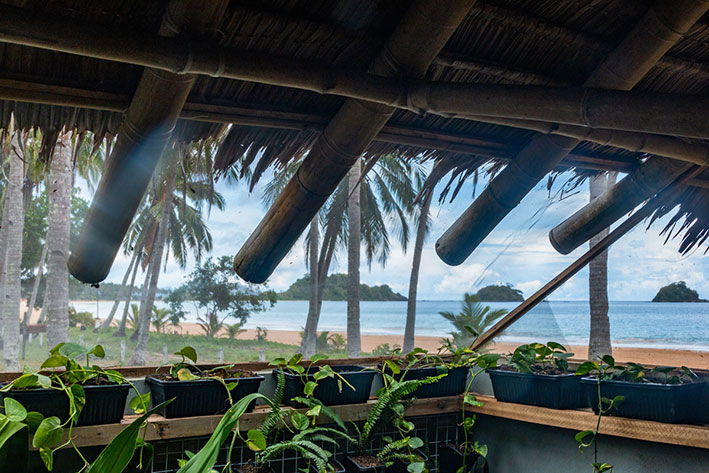 Seaview cabin images